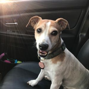 Meet your Posher, Nancy